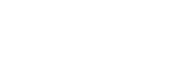 logo-UFMG-branca